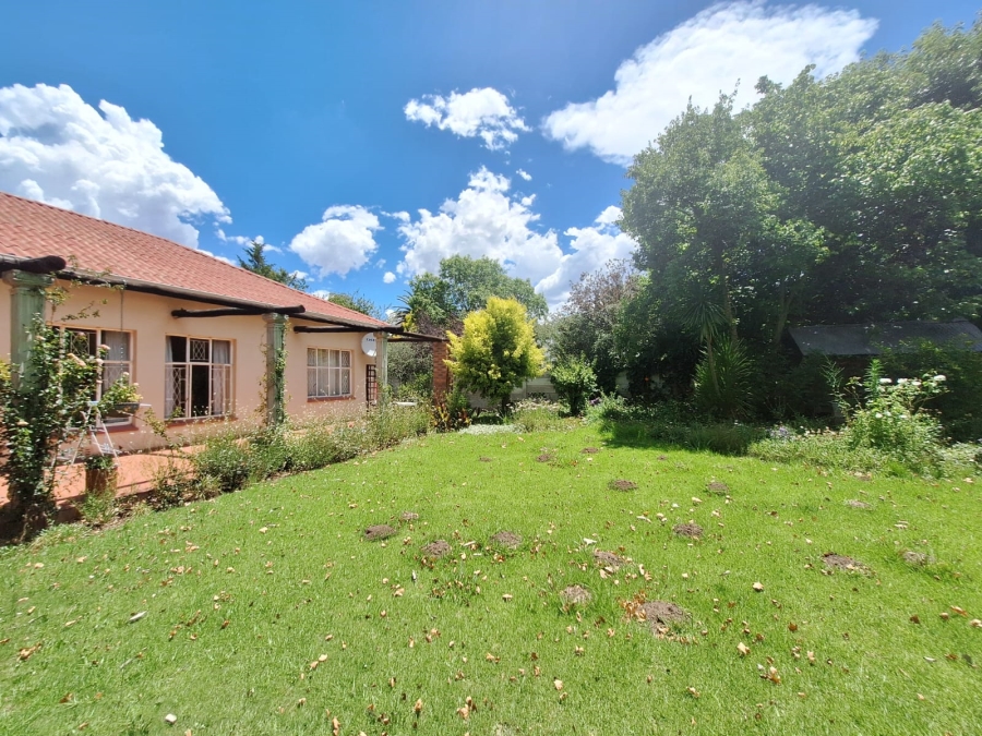 To Let 3 Bedroom Property for Rent in Top Town Eastern Cape